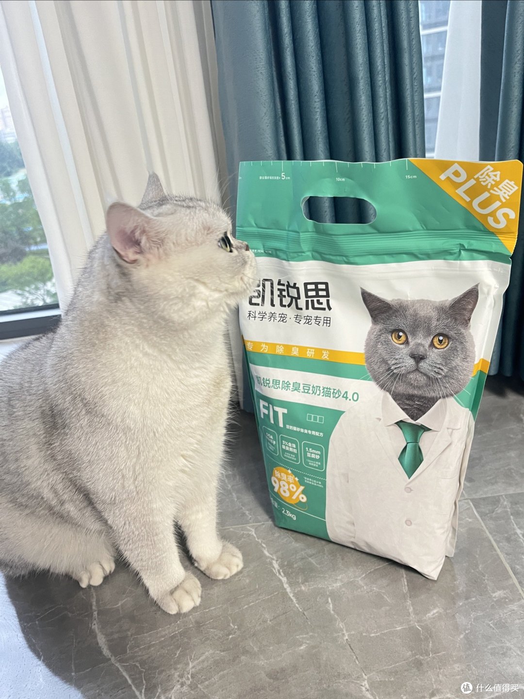 小馒头必备单品~猫砂