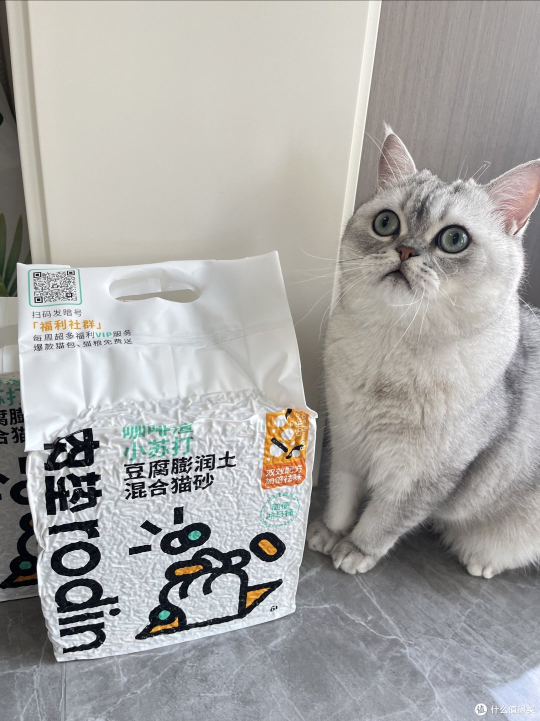 小馒头必备单品~猫砂