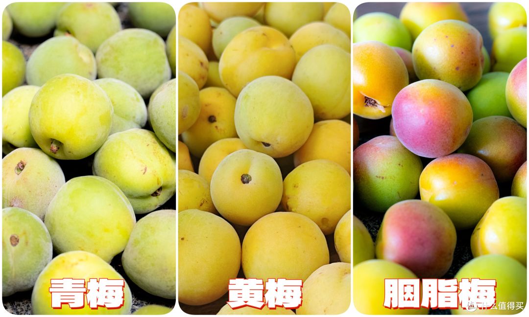 泡酒｜两款小众又好喝的自制青梅酒做法，惊艳你的味蕾~~