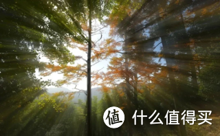 龙门秘境自驾游玩指南丨山中夏日长，一起来“溪”~