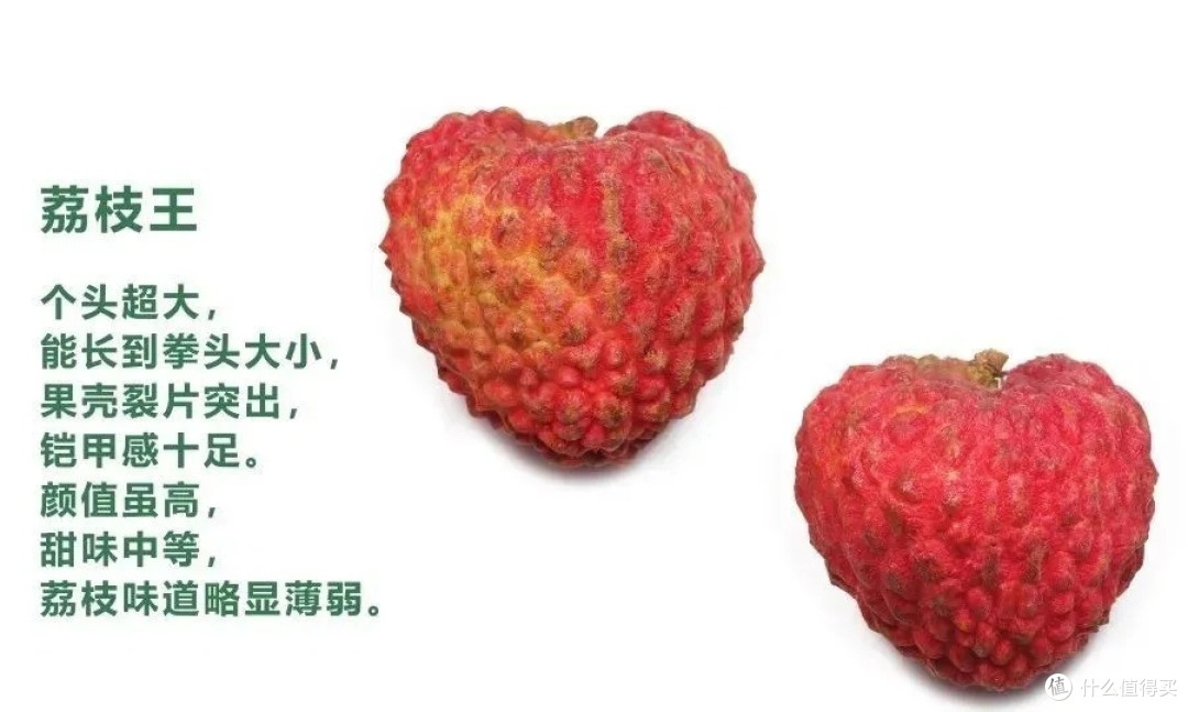 中国四大荔枝产区盘点!在这个荔枝减产的夏日,帮你实现荔枝自由!