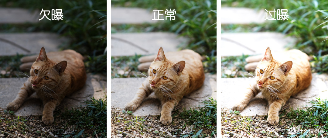 如何判断摄影作品的曝光是否正常?
