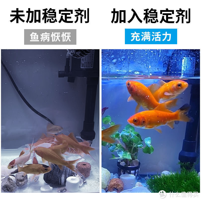 森森水质稳定剂