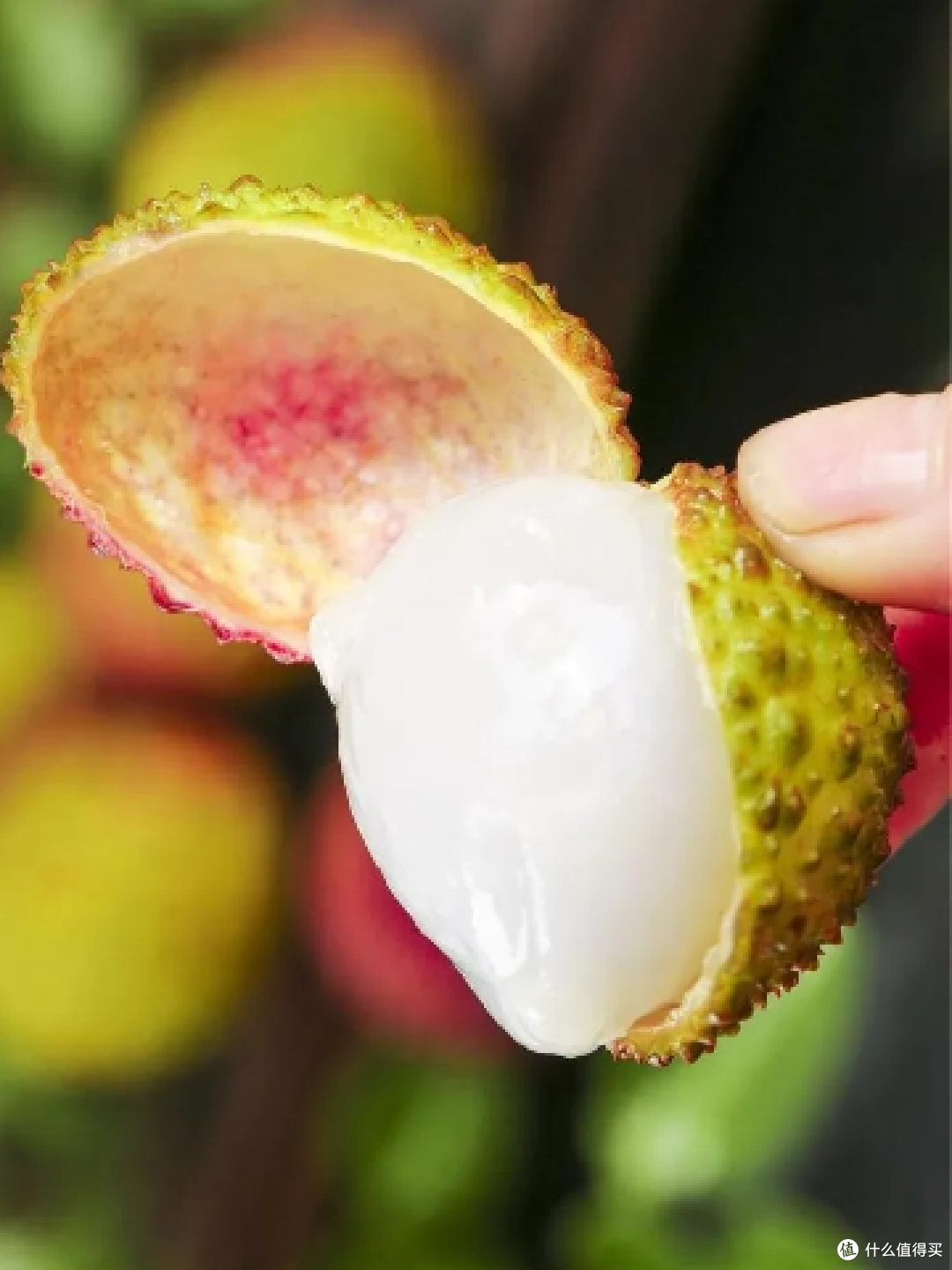 这个夏天,荔枝你吃了吗