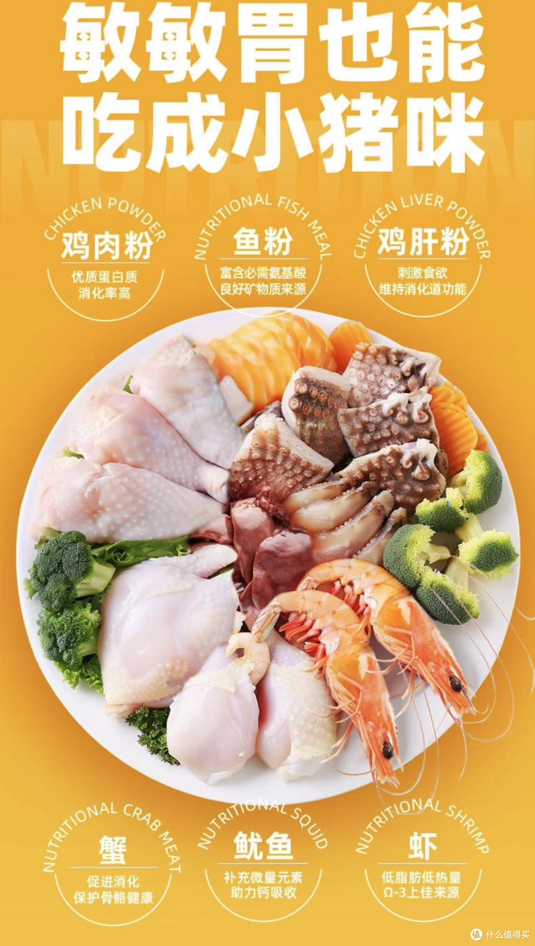 好物推荐：麦斯蒂海鲜鸡肉全价全期猫粮