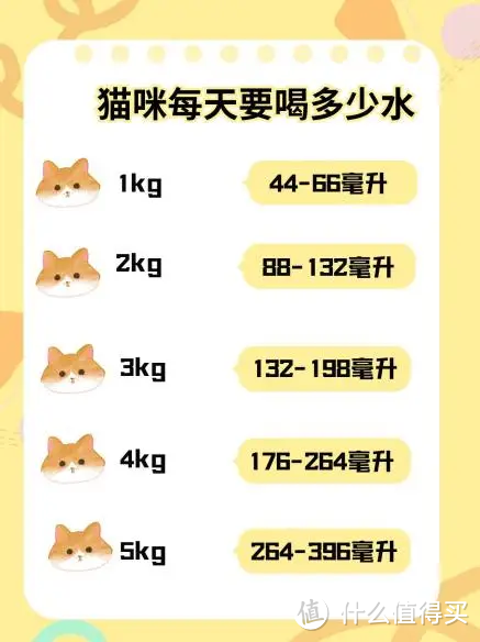 养猫必看！猫咪每天需要喝多少水？补水猫罐头大推荐