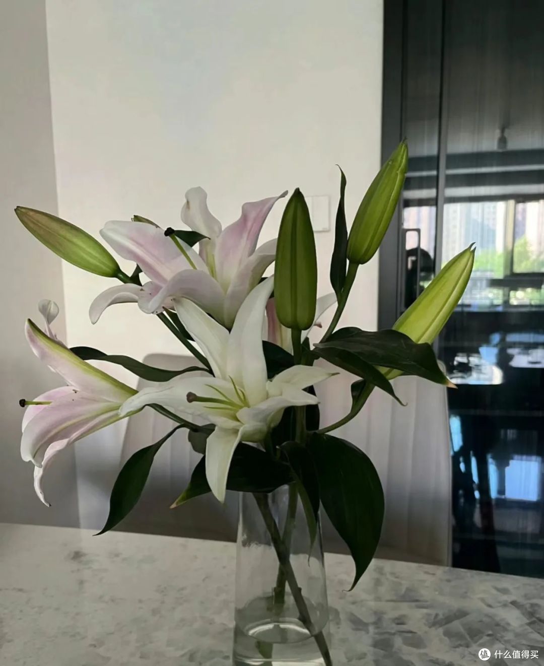 正在被淘汰的4种花,奉劝大家不要再跟风买了,都是花钱买教训