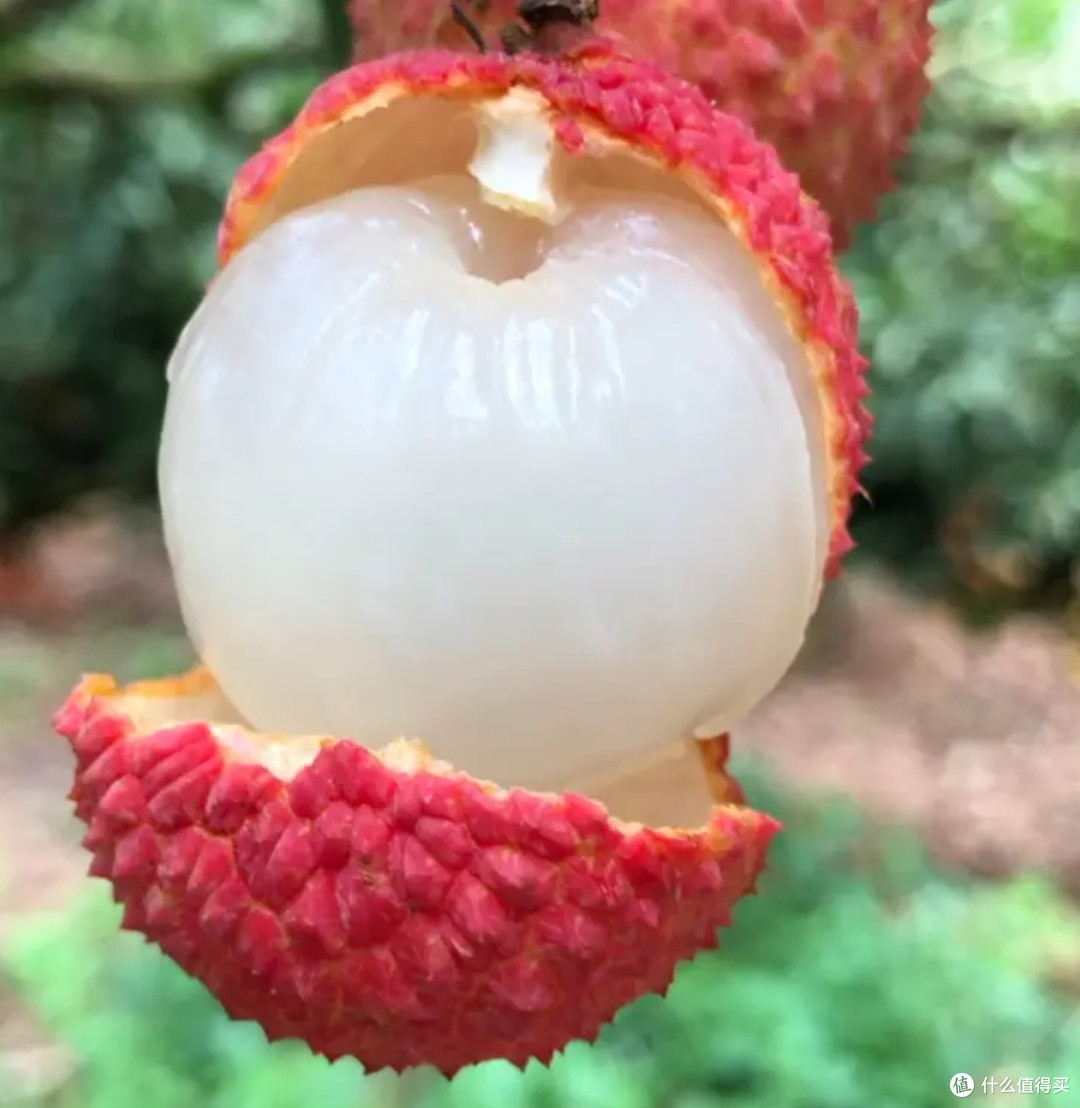 荔枝的多样吃法，解锁夏日甜蜜新滋味