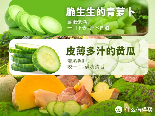 夏季如何给狗狗选狗粮？好建议值得看！