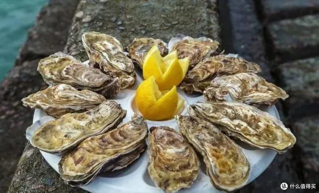 牡蛎与生蚝是一种东西吗?多看看吧!