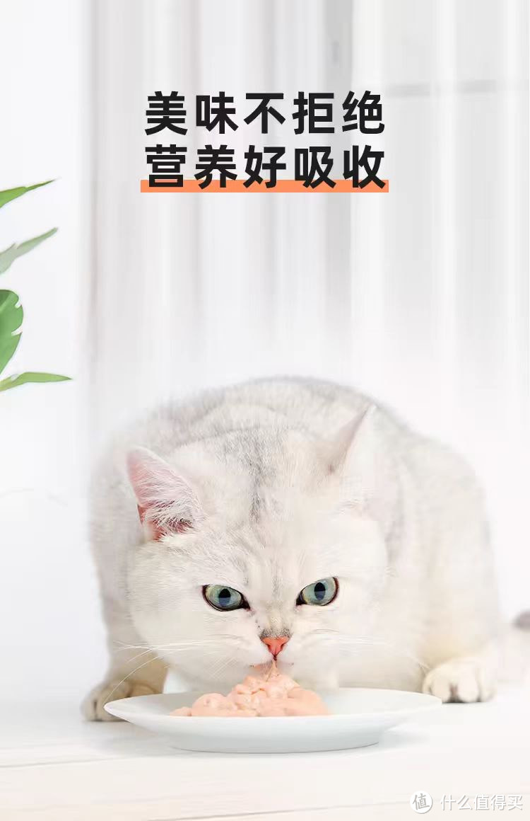 猫条