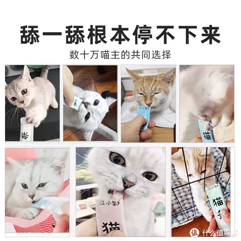 猫条