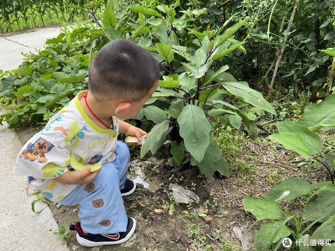 夏日反向遛娃松弛感——乡村小短腿一日游记