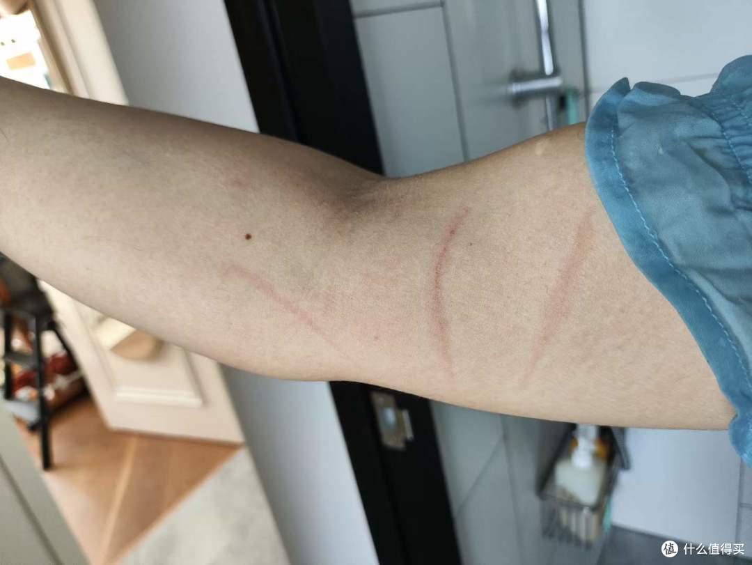 夏天了，需不需要给小猫们洗个澡？