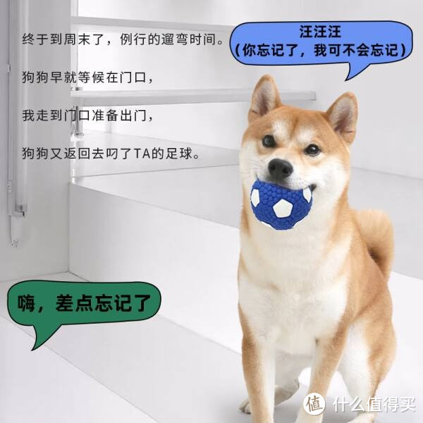 宜特小号乳胶足球狗狗玩具：趣味洁齿球，宠物独处时的互动伴侣