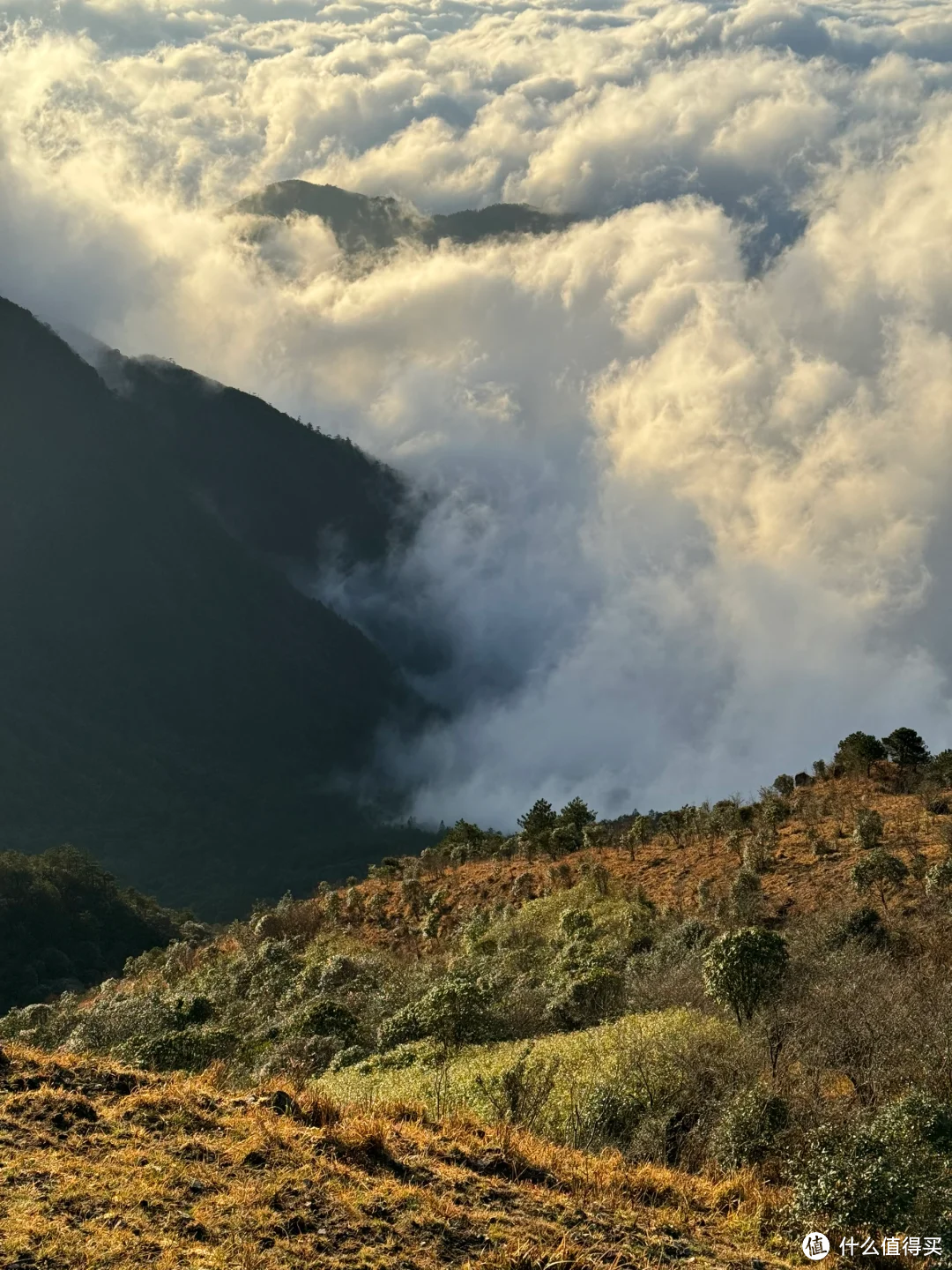 别去挤黄山了，来看看这个道教仙山吧！