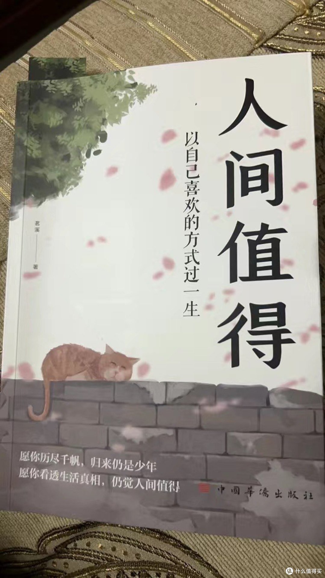 中村恒子《人间值得》_励志/成功_什么值得买