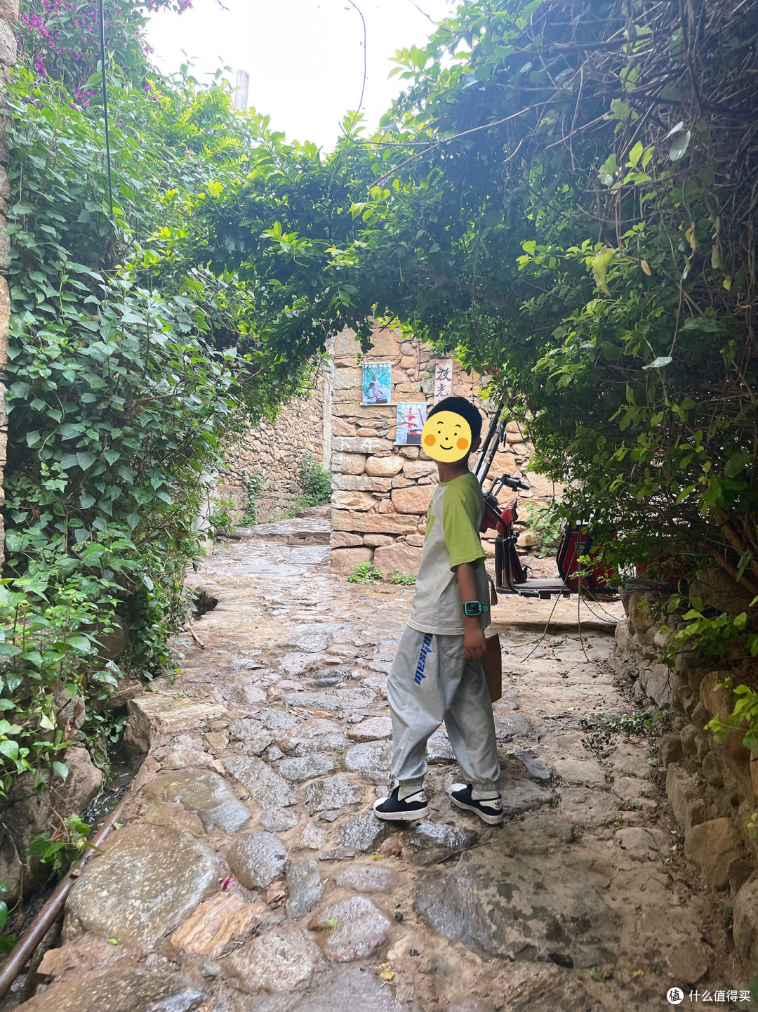避暑胜地大理:去有风的地方