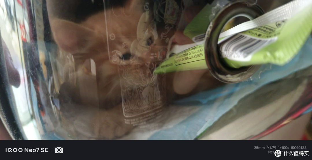 店里的小猫咪都送走领养了