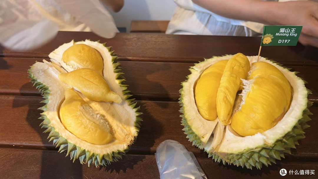 大马归来感叹还是祖国好