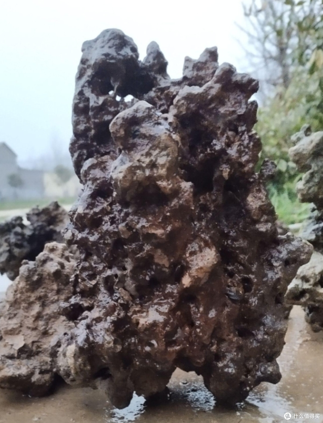 “客厅6不放,放了家难旺”,是指哪6种物品?快看看你家有没有?