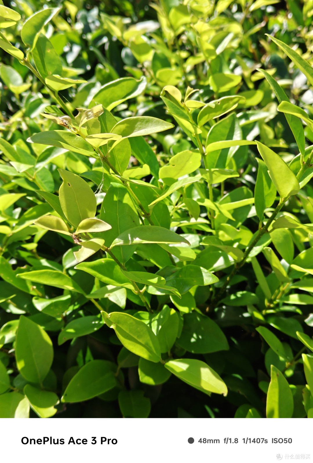 一加12换到Ace3 Pro算是降级体验么?聊一聊一加Ace3 Pro真实深度使用感受