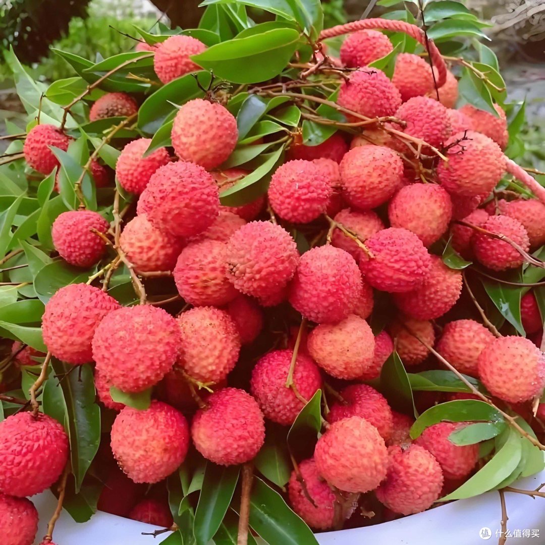 荔枝测评:夏日里的甜蜜盛宴