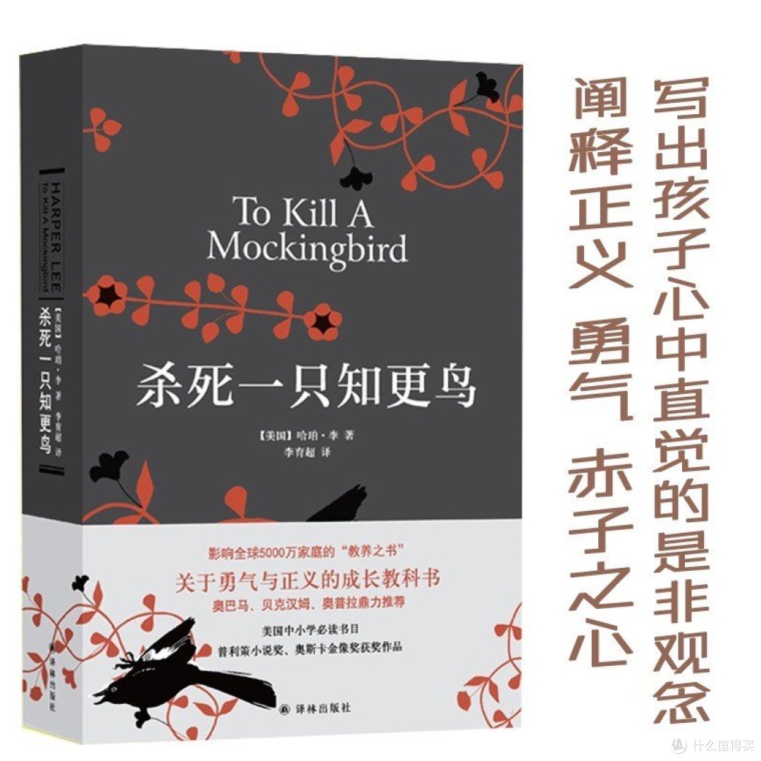 暑假阅读打卡:杀死一只知更鸟