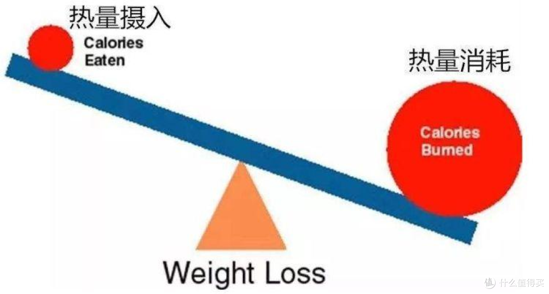 告别肥胖!三伏天减肥攻略,让你吃得饱、动得少也能瘦下来!