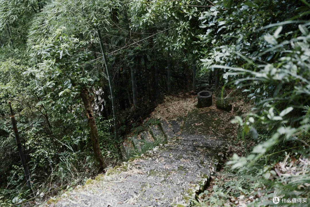 泰美了,我找到了福州周边的山谷秘境