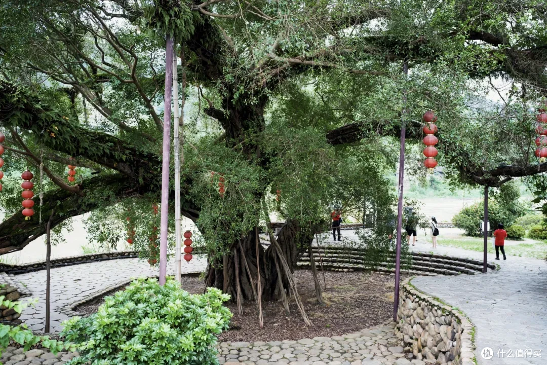 泰美了,我找到了福州周边的山谷秘境