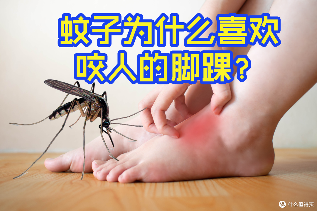 夏日无忧:精选驱蚊神器,守护全家远离蚊虫困扰