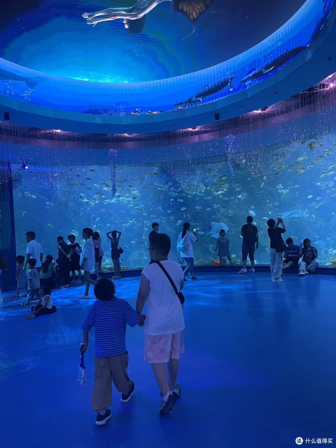 夏日亲子游:青岛极地海洋世界探险记