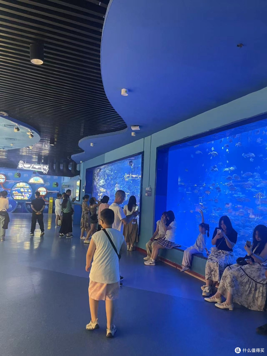 夏日亲子游:青岛极地海洋世界探险记