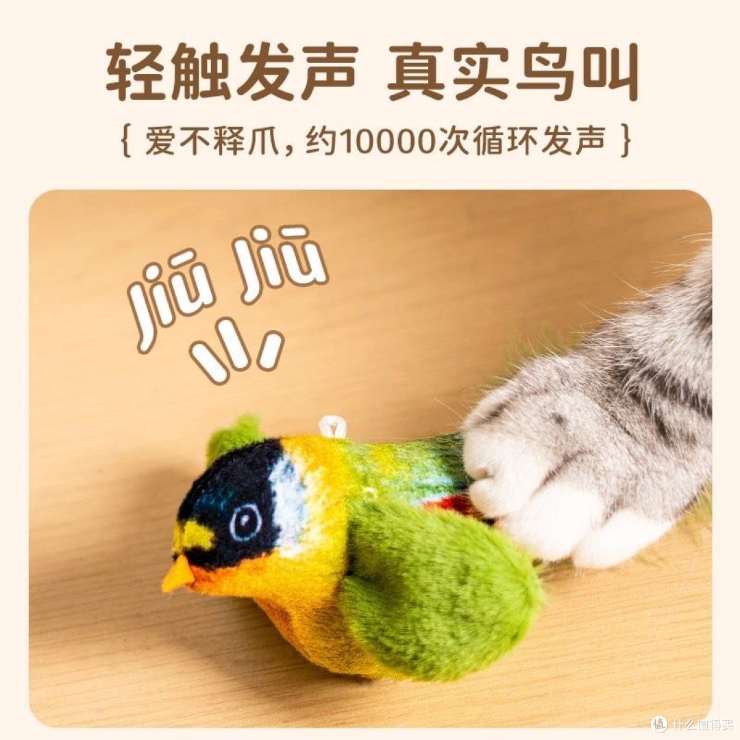 3款备受猫咪喜爱的玩具,给猫咪一个有趣的体验!