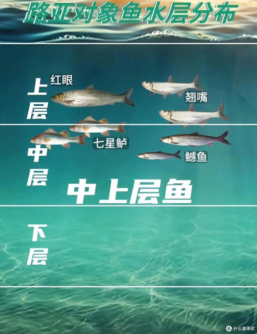 新手钓鱼一定要知道的钓鱼口诀