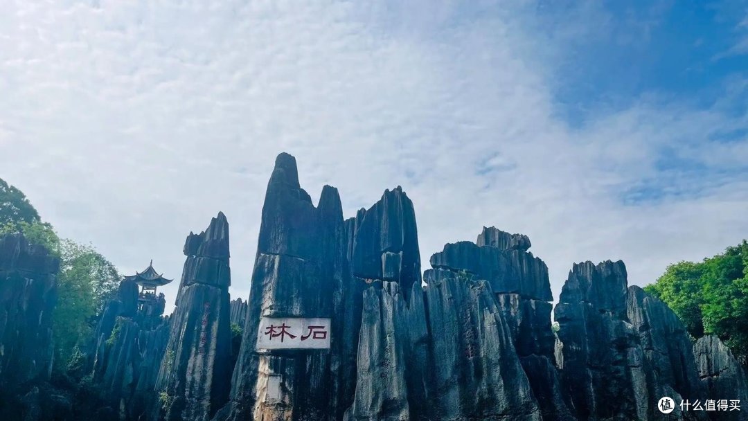 纪律的力量:如何塑造高效团队