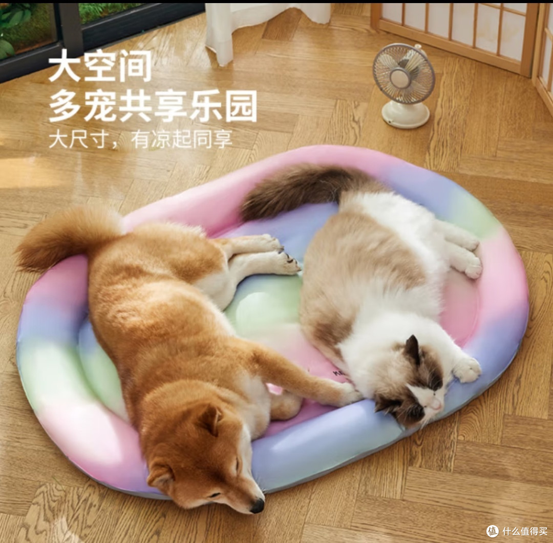 宠物夏日降暑神器~~自带干粮的宠物冰垫子