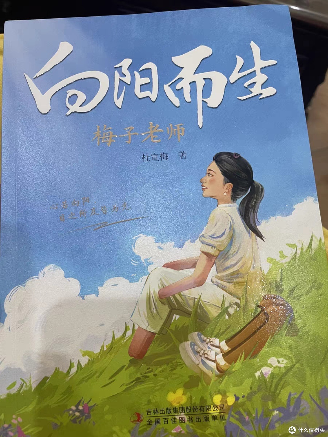 课外阅读书籍推荐——《向阳而生》
