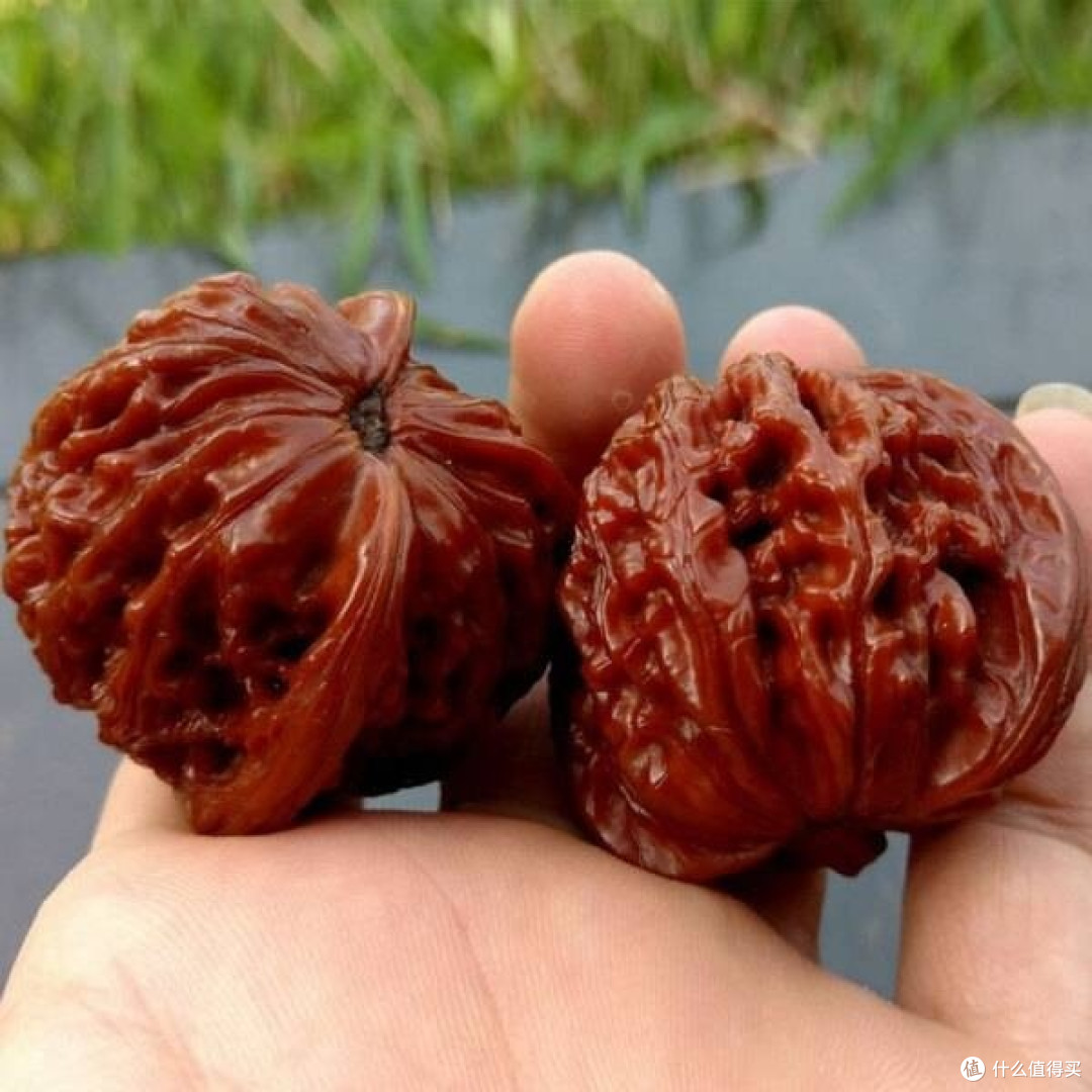 山中玉文玩核桃