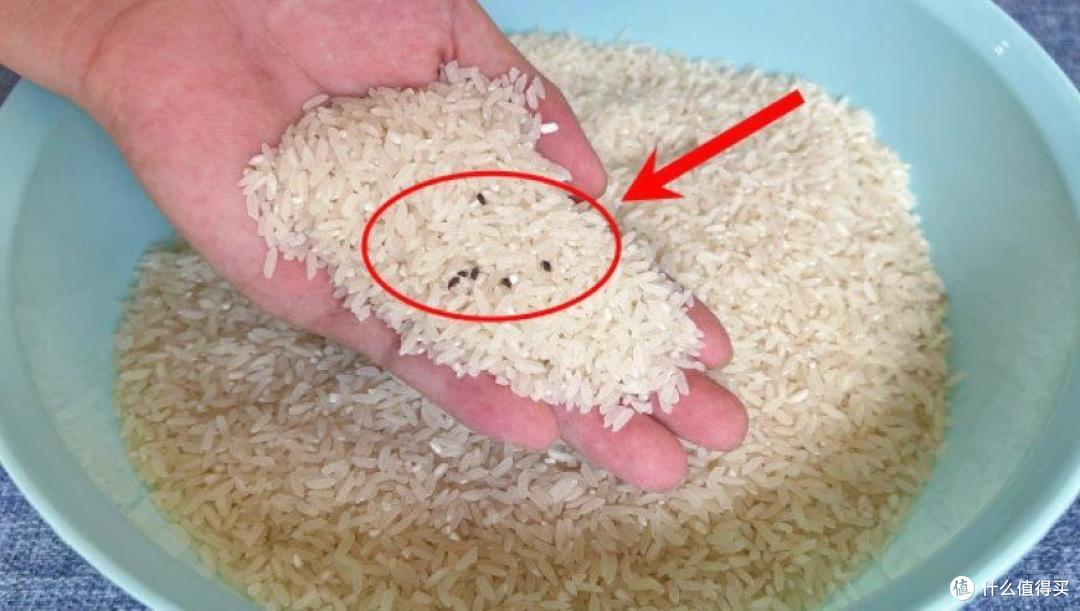夏天大米里都是“米虫”,还能不能吃?教你3个妙招,放1年都不坏!