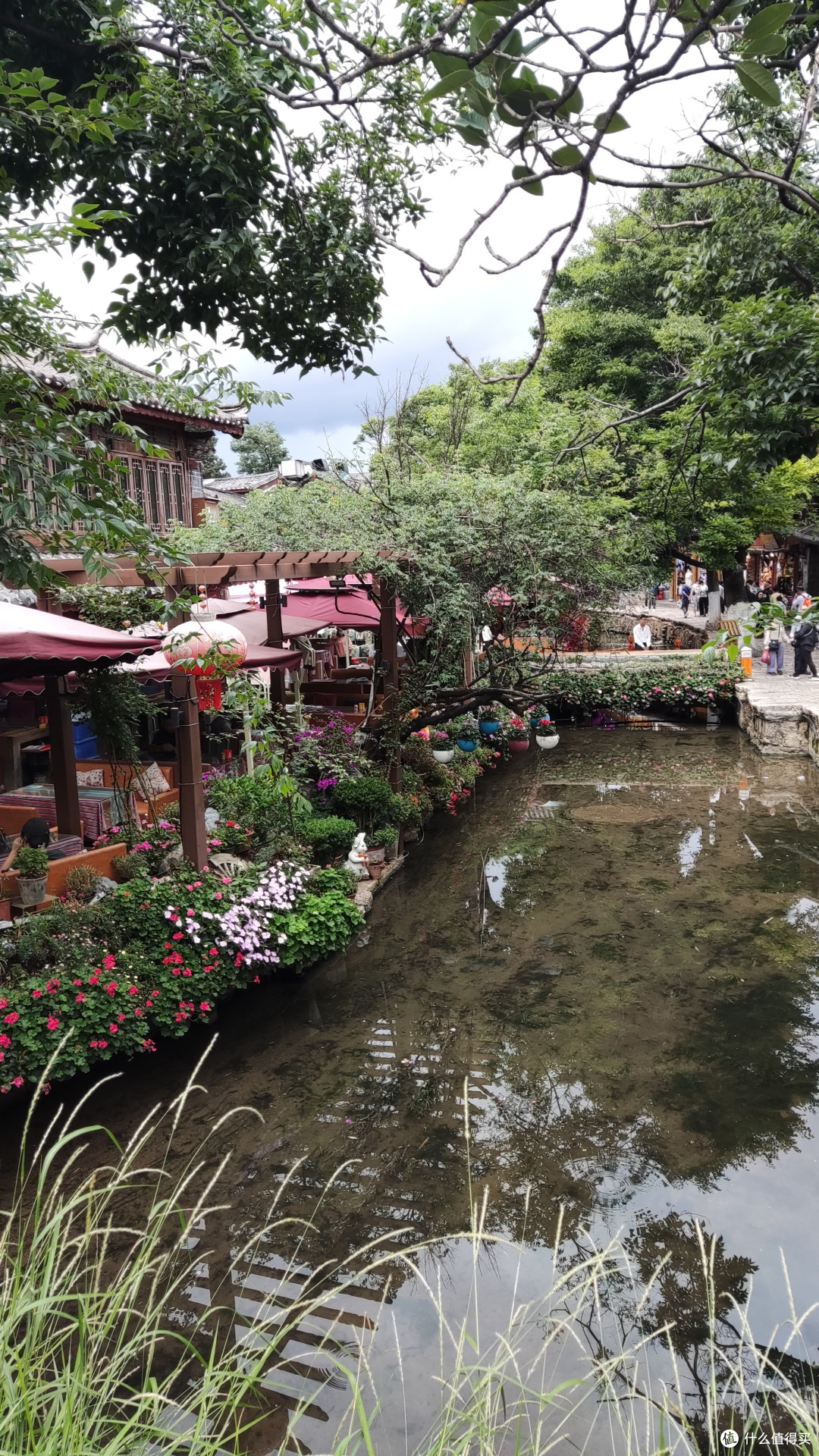 夏日云南之旅第一站-丽江