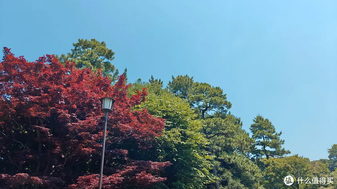 满满干货！7天6晚自由行，零外语基础也能玩转日本