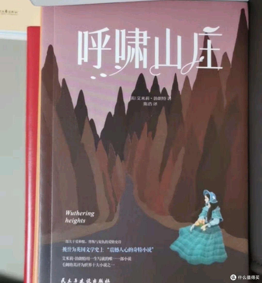 暑假阅读计划之我爱读的呼啸山庄