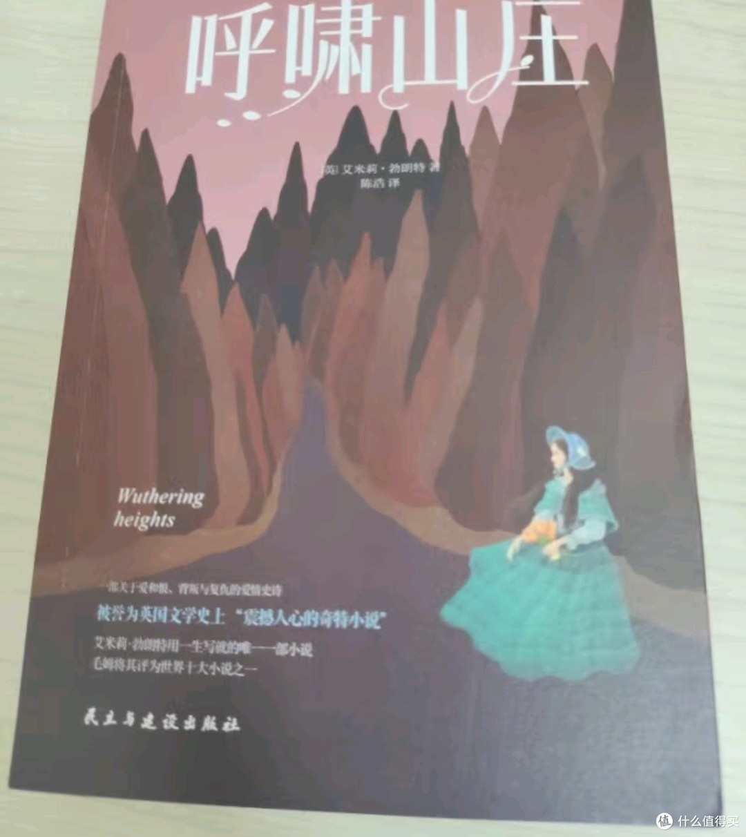 暑假阅读计划之我爱读的呼啸山庄