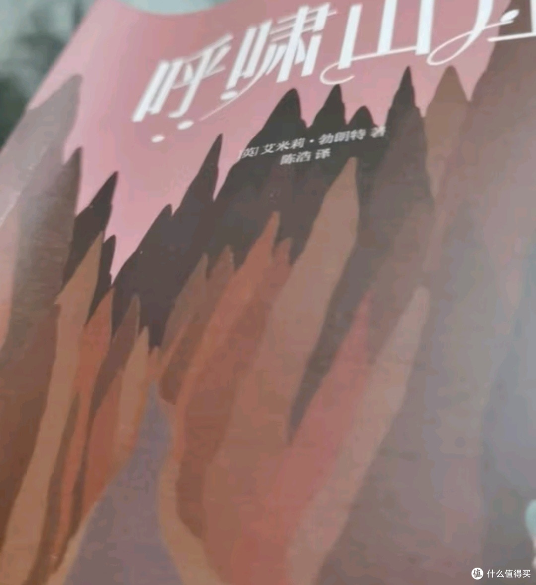 暑假阅读计划之我爱读的呼啸山庄