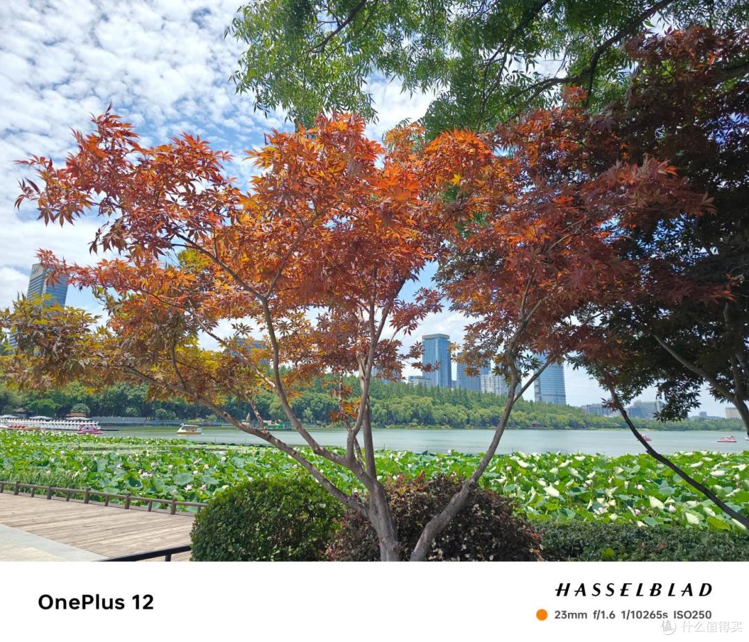 5000元左右预算高性价比旗舰手机推荐合集