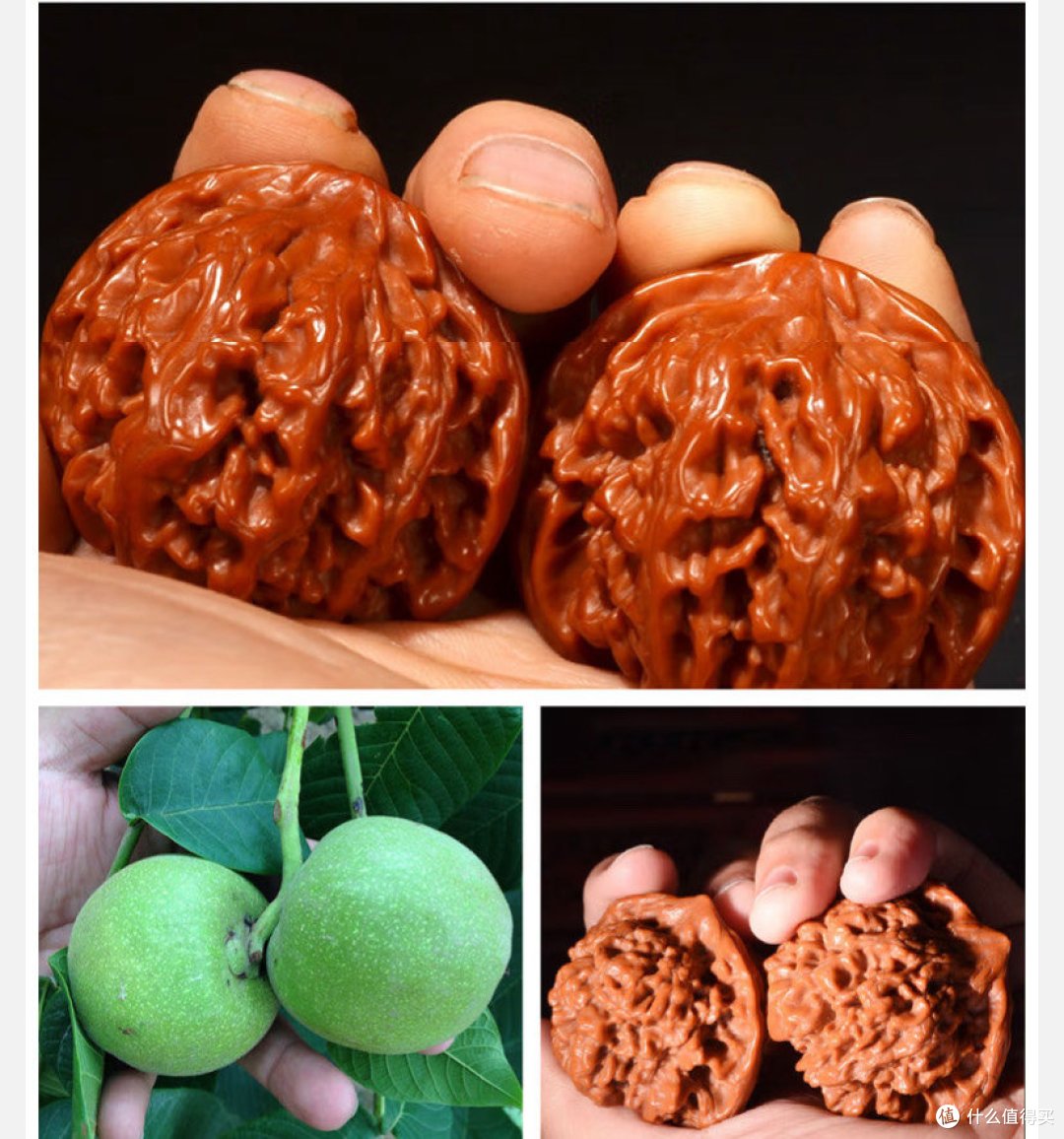 经常盘核桃可以修身养性,锻炼手部肌肉,促进血液循环,真是健康