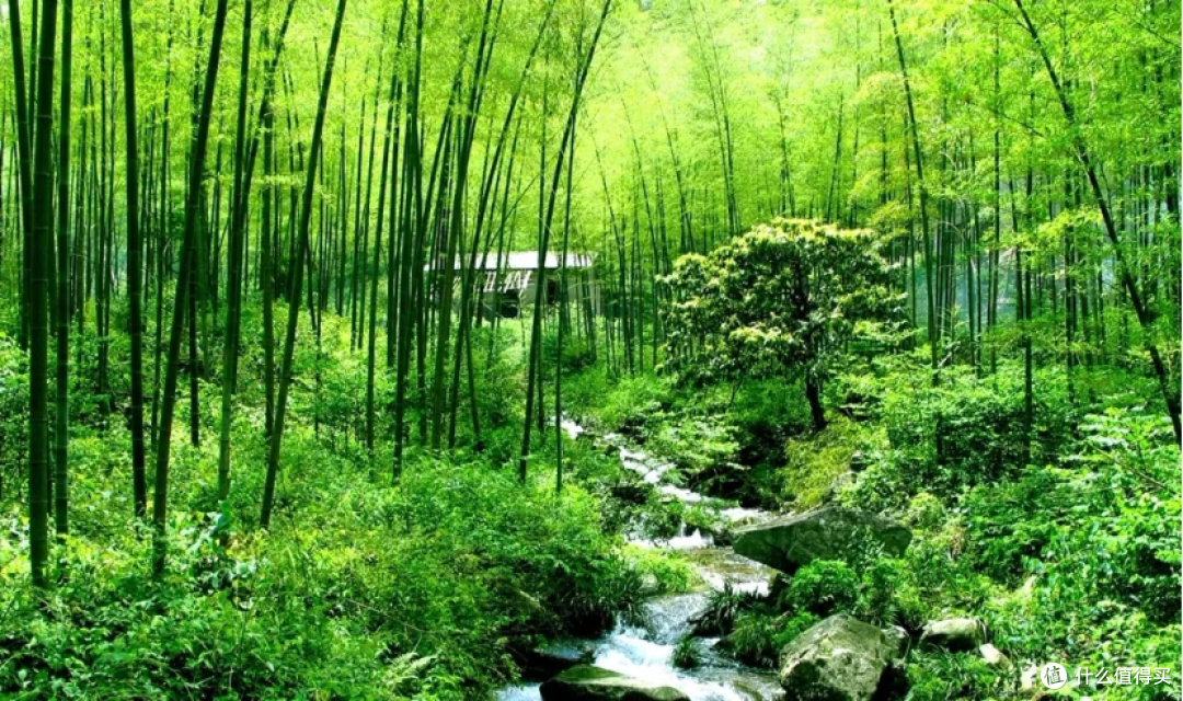 河南、湖北、湖南、江西,华中地区著名山川盘点,有多少你没听过的?