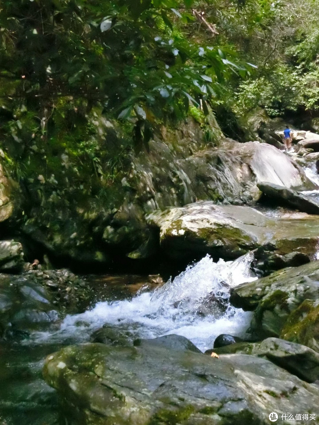 长沙的夏天就该去溯溪呀